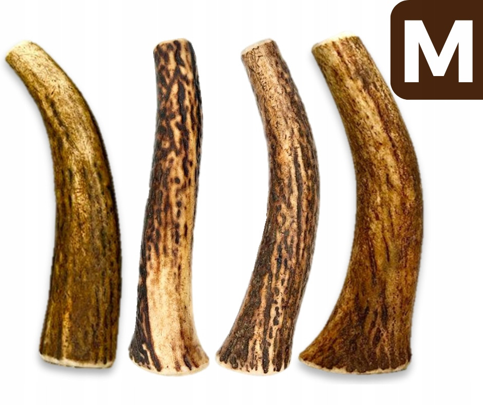 Sada 4x kousátko z jeleního parohu pro psa M hard