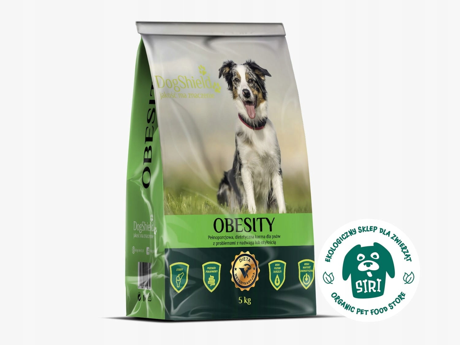 Obesity pro psy s nadváhou nebo obezitou