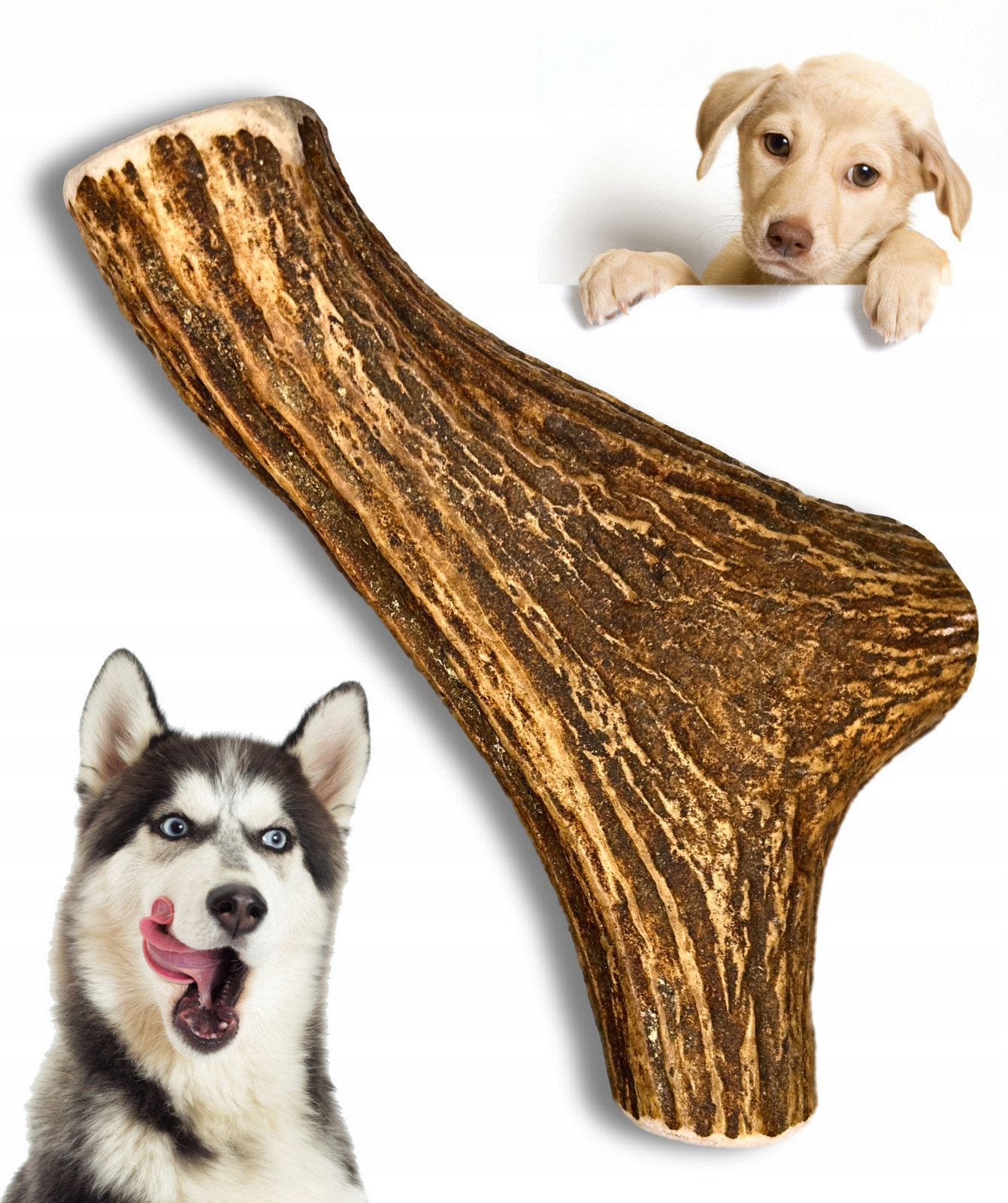 Přírodní kousátko z Poroží Losia XXL Extra tvrdé Pro Psa