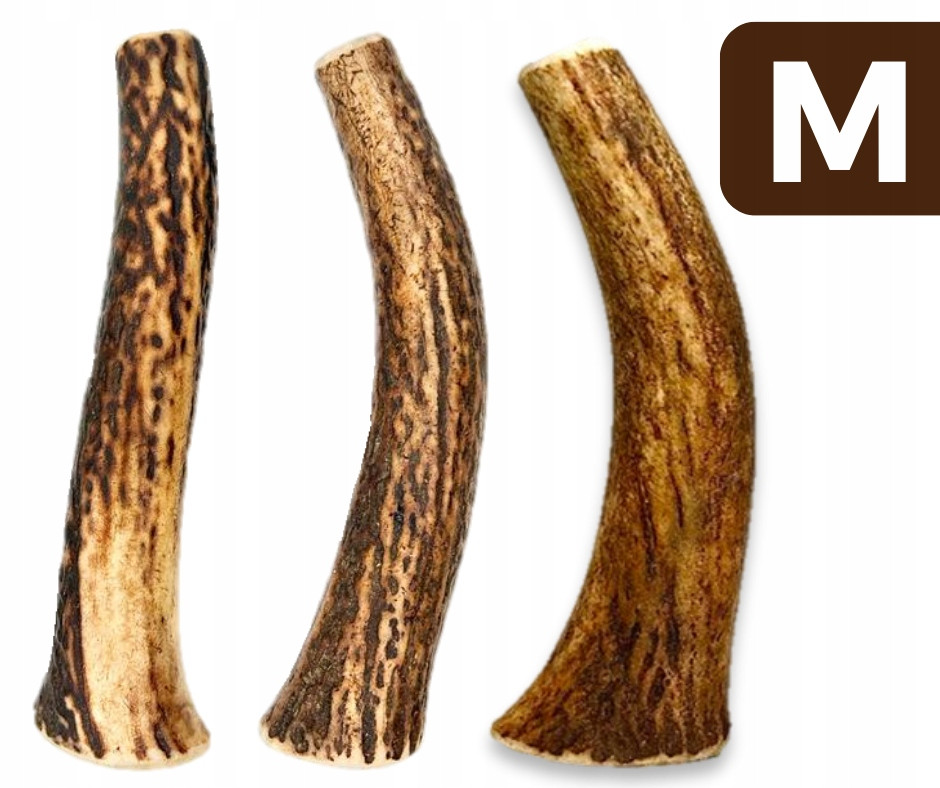 Sada 3x kousátko z jeleního parohu pro psa M hard