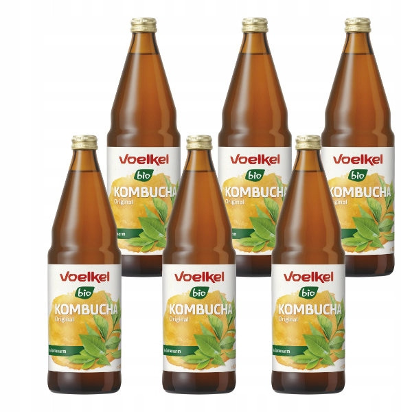 6x Kombucha sycený nápoj Bio 750ml