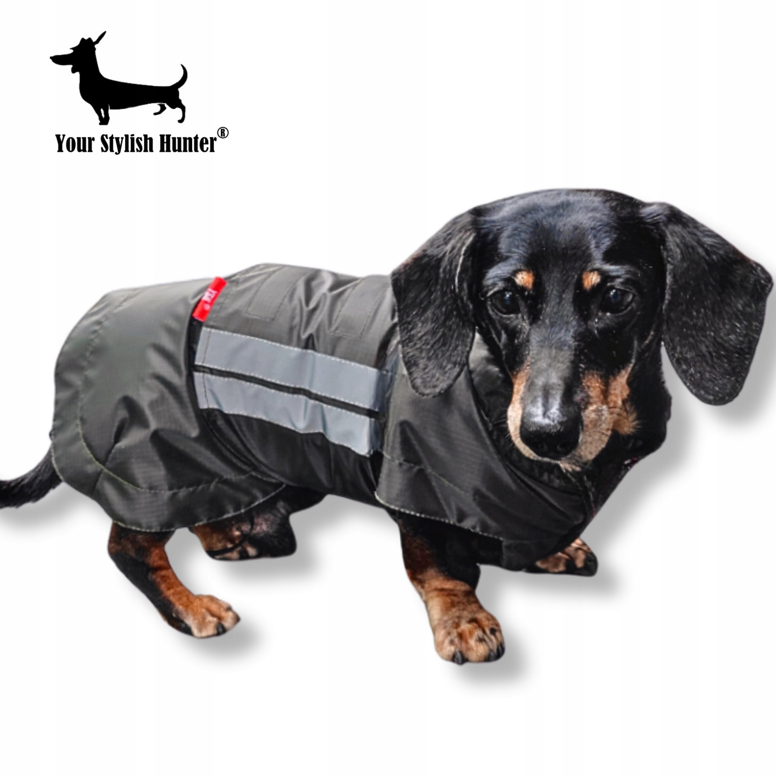 Voděodolná bunda Derka, pláštěnka pro psa jezevčíka Corgi 2XL