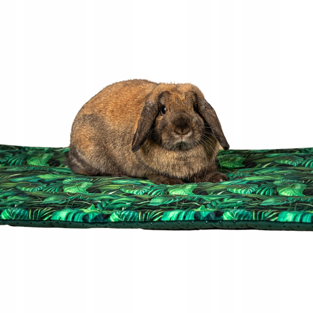 Kraina Tuptusia podložka pro morče 42x76 cm různé barvy a materiály