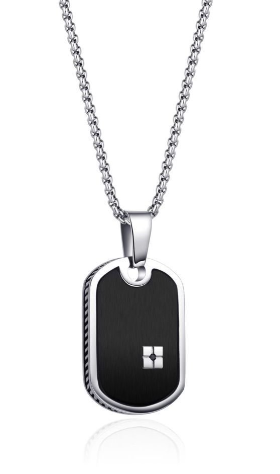 Diverse Pánský ocelový náhrdelník Vojenská známka N1000517