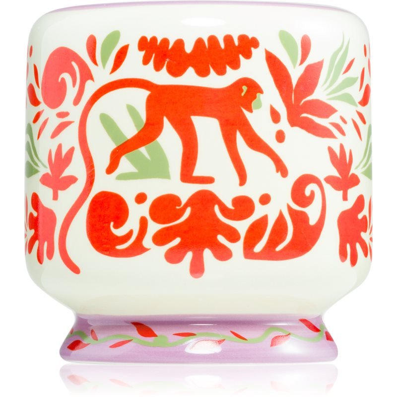 Paddywax A Dopo Jungle vonná svíčka 226 g