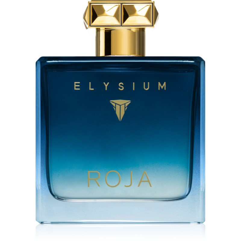 Roja Parfums Elysium Pour Homme parfémovaná voda pro muže 100 ml