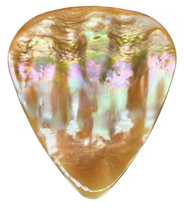 Timber Tones Abalone Tones Awabi Abalone