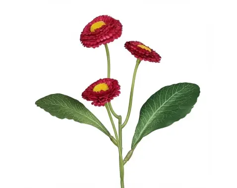 Umělá květina Sedmikráska 24 cm, vínová