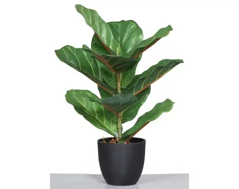 Umělá rostlina v květináči Fíkovník, 40 cm