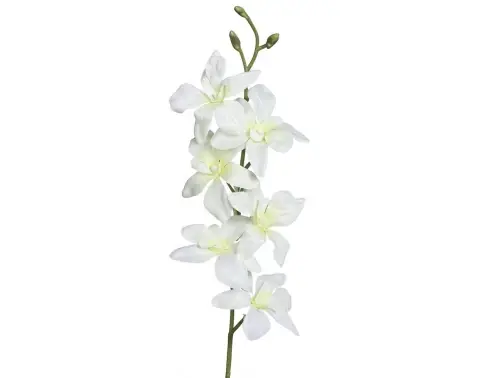 Umělá květina Orchidej 64 cm, krémová