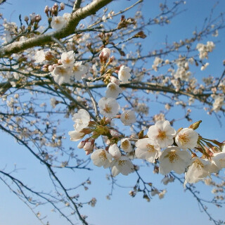 K. H. Mácha: Máj - Karel Hynek Mácha, Radovan Lukavský, Josef Somr, Viktor Preiss, Vladimír Ráž, Ladislav Frej - audiokniha