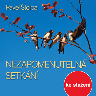 Pavel Štolba: Nezapomenutelná setkání - Luděk Munzar, Pavel Štolba - audiokniha