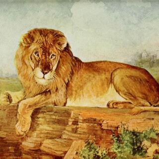 Dagmar Langová: O moudrém králi - Dagmar Langová, Lucie Juřičková - audiokniha