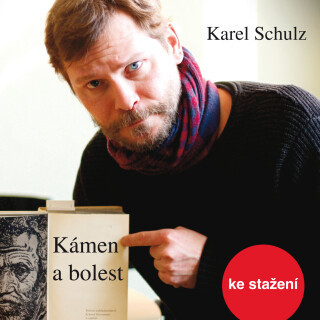 Karel Schulz: Kámen a bolest - Karel Schulz, Marek Holý - audiokniha