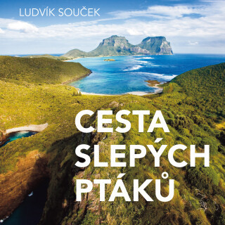 Cesta slepých ptáků - Ludvík Souček, David Novotný, Vladimír Fišer, Jaromír Meduna, Jan Szymik, Alois Švehlík, Ilona Svobodová, Svatopluk Schuller - a