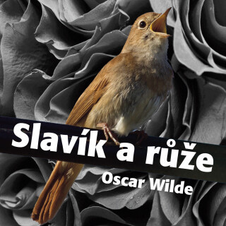 Oscar Wilde: Slavík a růže - Oscar Wilde, Eduard Cupák, Viktor Preiss, Rudolf Hrušínský, Petr Svojtka, Drahomíra Měsková - audiokniha
