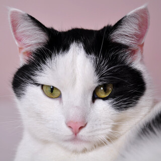 Dagmar Langová: O splněných přáních - Hruška Miroslav, Dagmar Langová - audiokniha