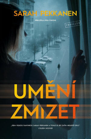 Umění zmizet - Sarah Pekkanen