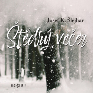 J. K. Šlejhar: Štědrý večer - Josef Karel Šlejhar, Jiří Hromada - audiokniha