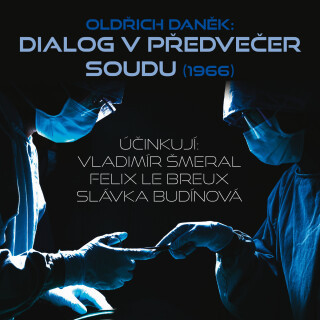 Oldřich Daněk: Dialog v předvečer soudu (1966) - Oldřich Daněk, Slávka Budínová, Felix le Breux - audiokniha