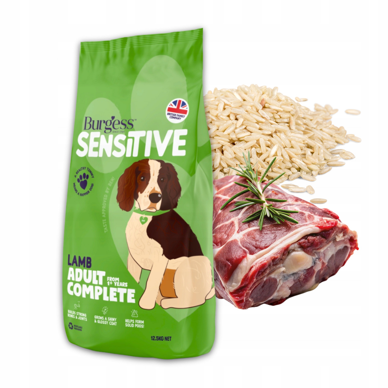 Suché Krmivo pro psa Hypoalergenní Burgess Sensitive Jehněčí rýže 12,5 kg