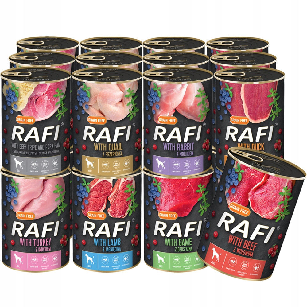 Dolina Noteci Rafi Premium MIX Chutí 24x400g