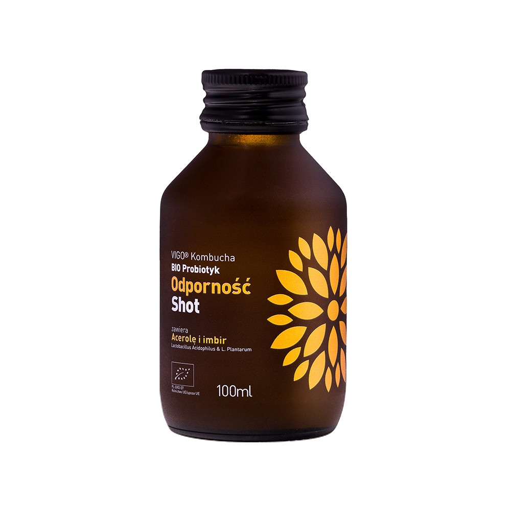 Vigo Kombucha Kombucha Shot Odolnost Bio 100 ml Set: 12 ks