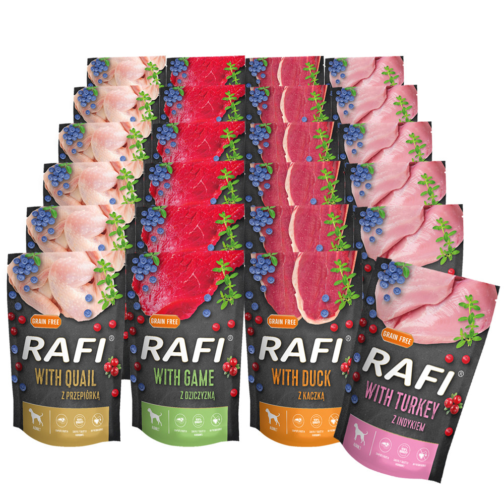 Dolina Noteci Rafi Premium Mix chutí 24x500g