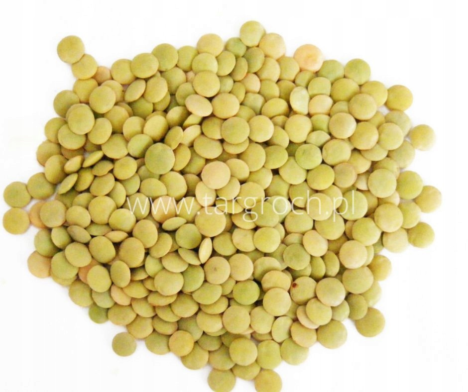 Zelená čočka půlky Horeca velkoobchod vysoké kvality 5 kg