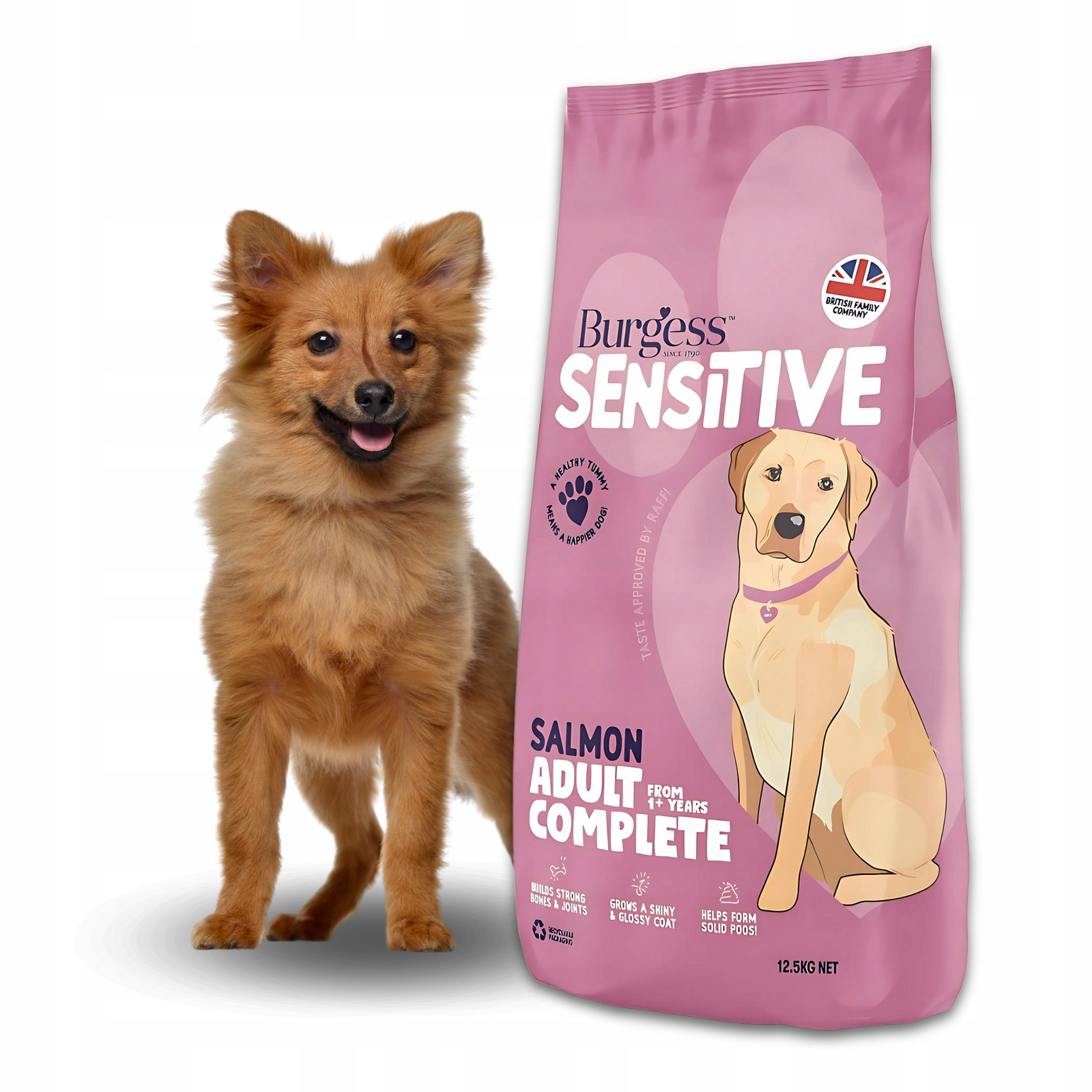 Suché Krmivo pro psa Hypoalergenní Burgess Dog Sensitive Lososová rýže 12,5 kg