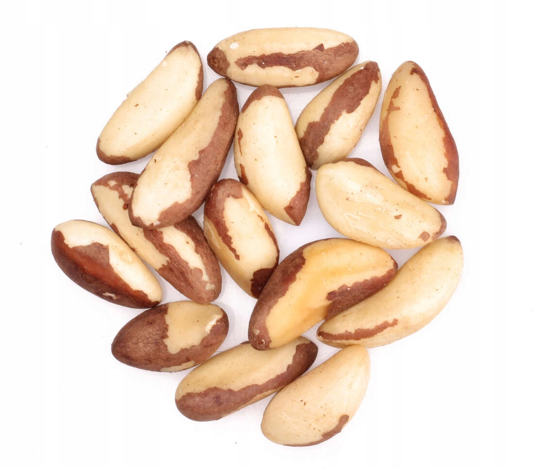 Brazilské ořechy 10 kg přírodní ořechy bez výživné chemie