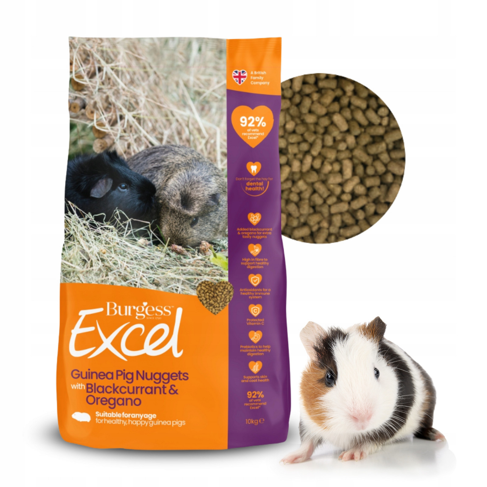 Krmivo pro morče Burgess Excel Guinea Pig Černý rybíz 10 kg