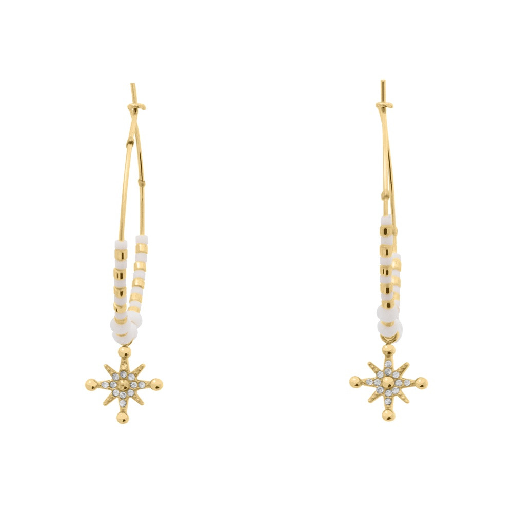 Pierre Lannier Elegantní kruhové náušnice s přívěskem hvězdy Antharea BJ25A2211