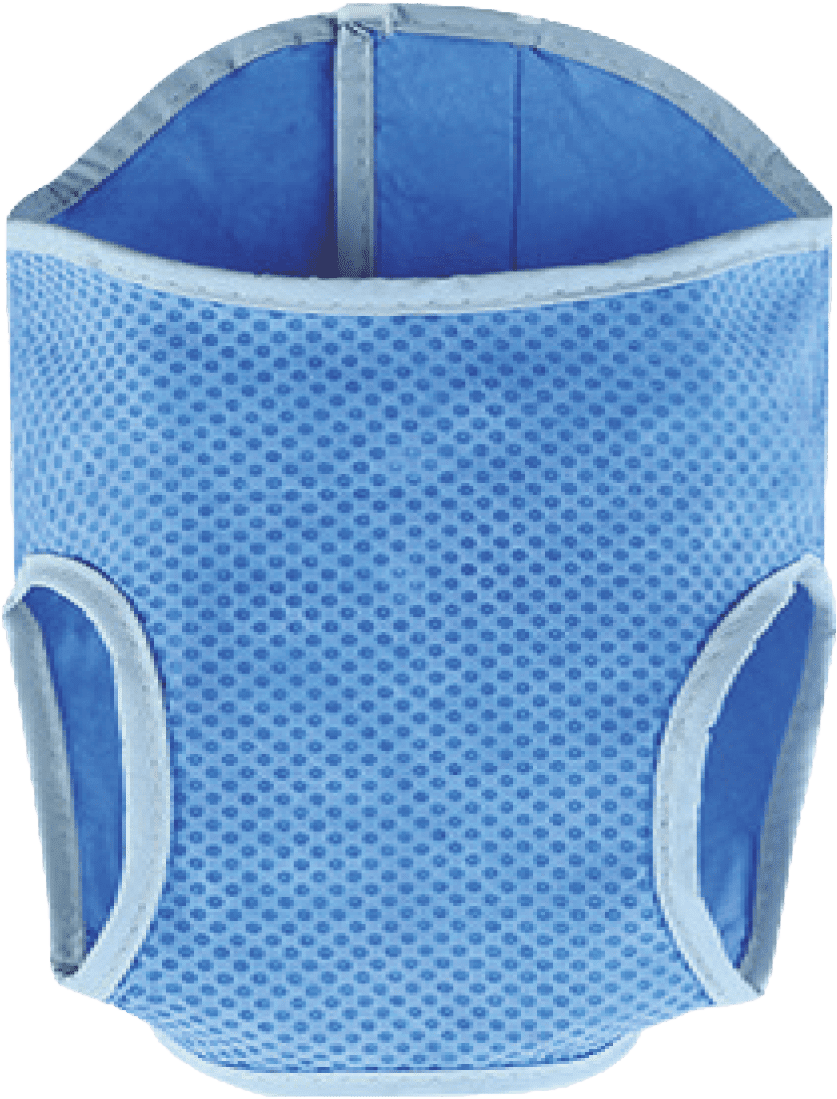 Vesta Dog Fantasy chladící XL