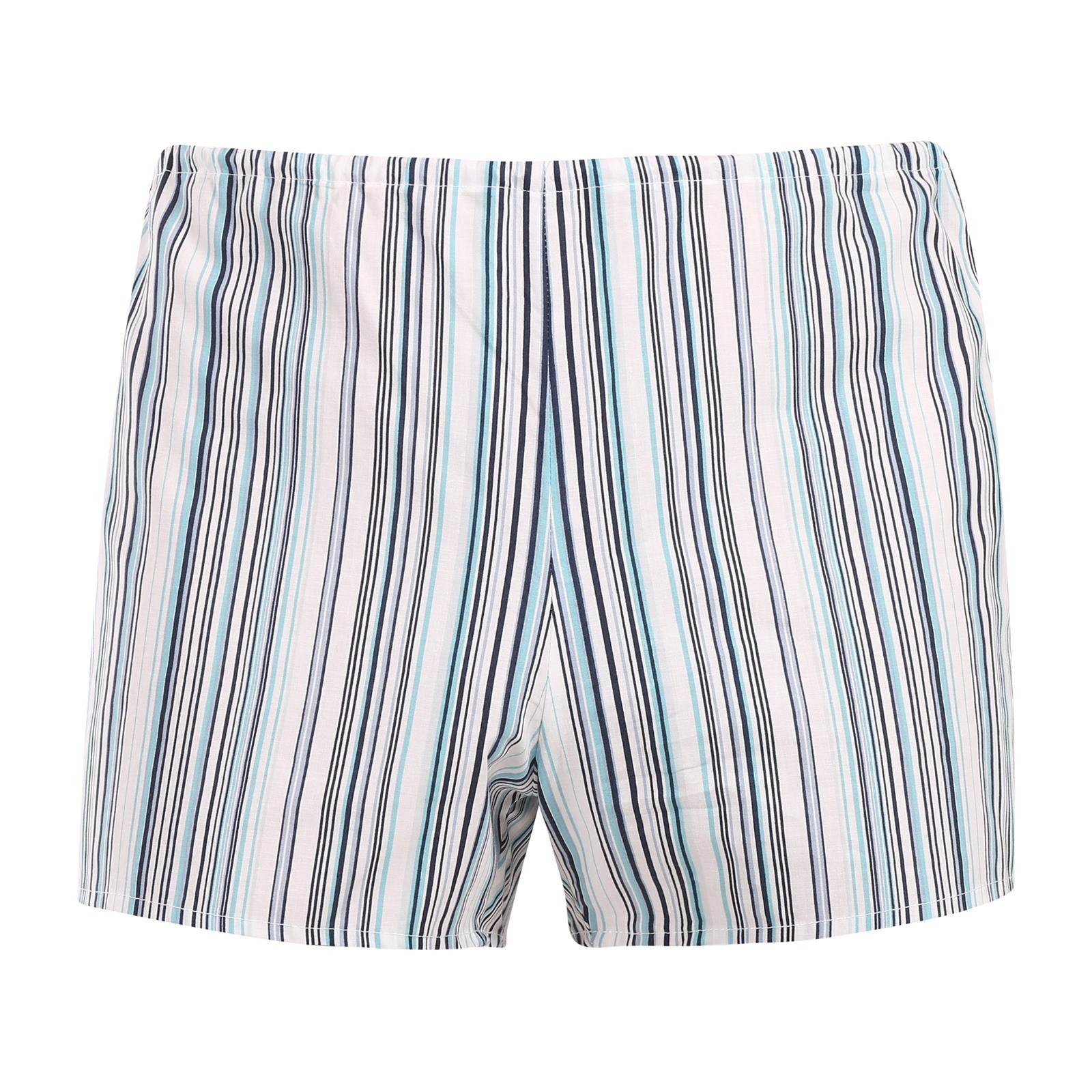 Klasické pánské trenky Foltýn světlé proužky (K59) XL, trenýrky