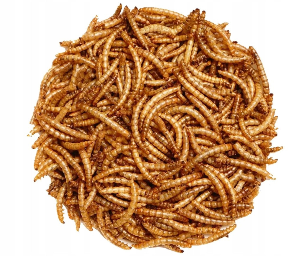 Sušené larvy moučníku mlynář 5kg