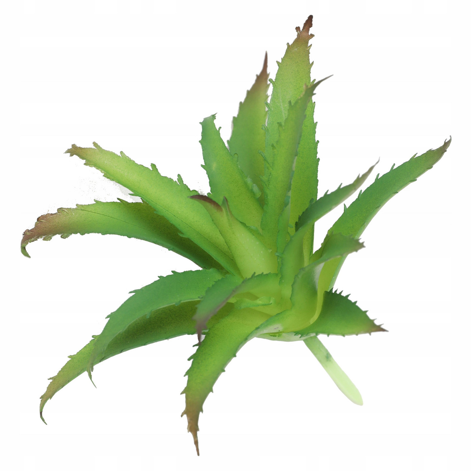 Tlakový postřikovač GardenStar 5