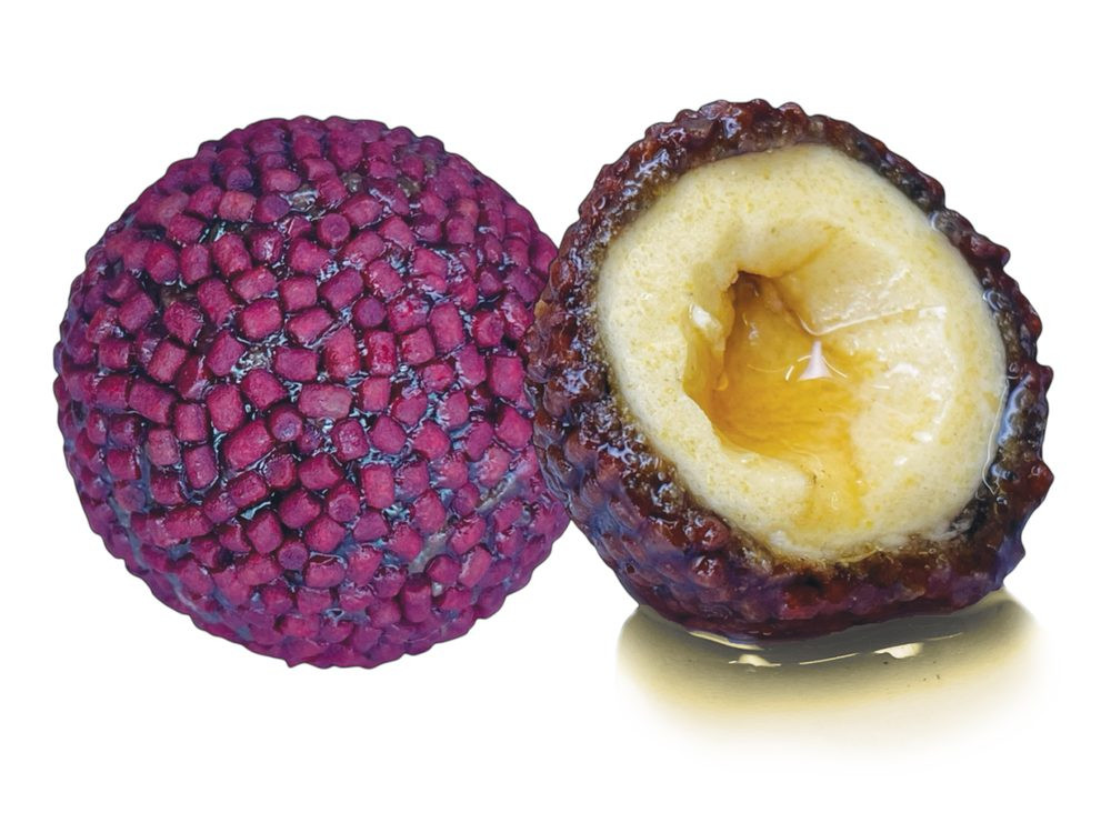 LK Baits Nutrigo Pellets Red Halibut - 20mm 200ml