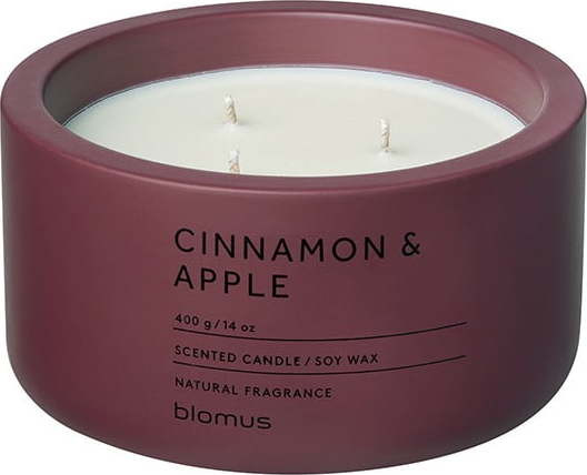 Vonná sojová svíčka doba hoření 25 h Fraga: Cinnamon & Apple – Blomus