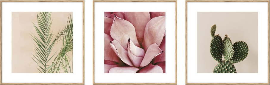 Plakáty v rámu 3 ks 22,5x22,5 cm Flowers