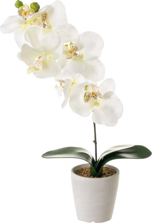 Umělá rostlina (výška 45 cm) Orchid – Casa Selección