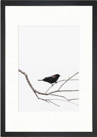 Obraz 24x29 cm Bird on the Branch – Vavien Artwork