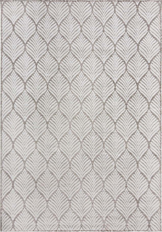 Vnitřní a venkovní koberec slonovinový 200x290 cm Elm Leaf – Flair Rugs