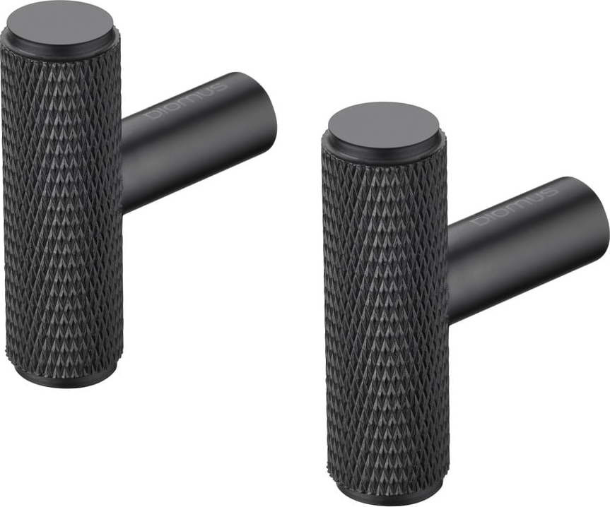 Černé nástěnné kovové háčky v sadě 2 ks Rof – Blomus