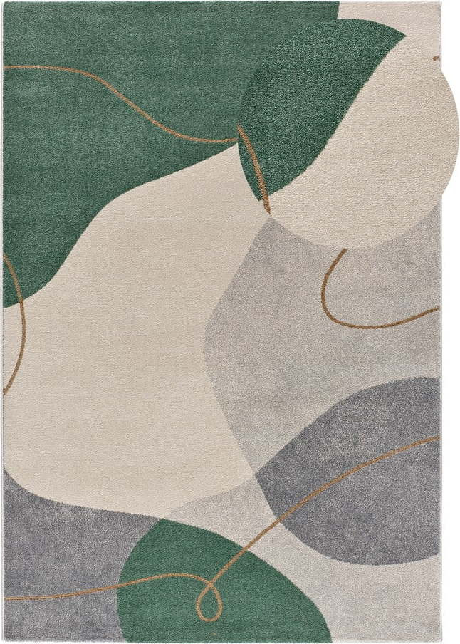 Zelený koberec 160x230 cm Edesa – Universal