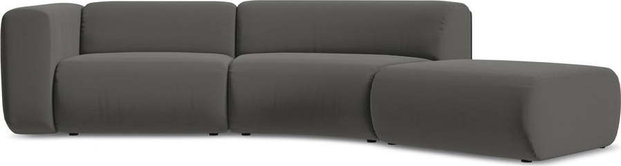 Šedá sametová lenoška (pravý roh) Ekahi – Makamii