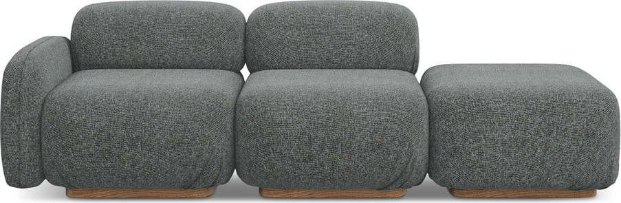 Šedá lenoška (levý roh) Ailani – Makamii