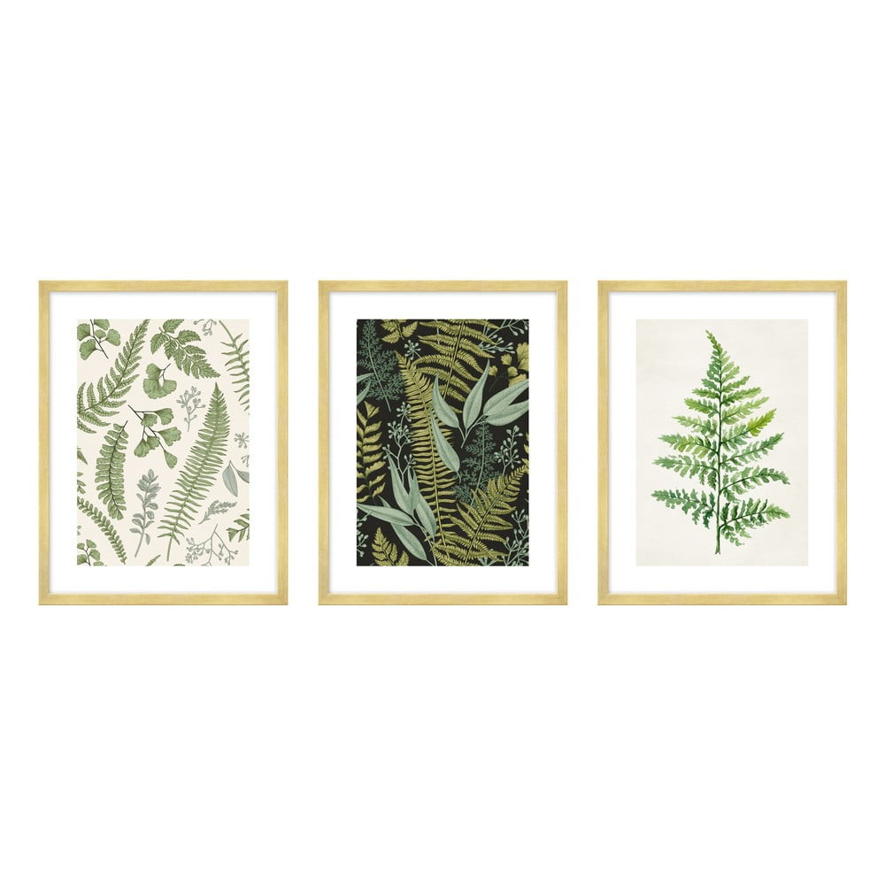 Obrazy v sadě 3 ks 30x40 cm Fern – knor