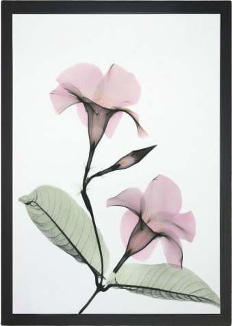 Obraz 24x29 cm Green Branch – Vavien Artwork