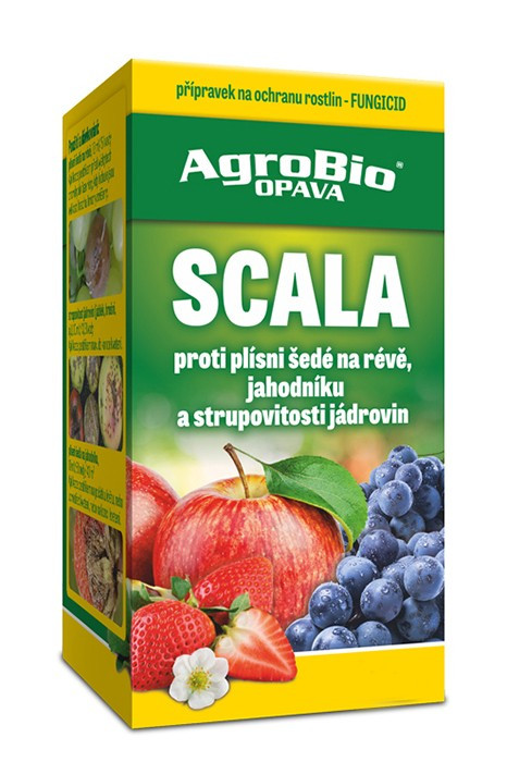 Scala 250 ml